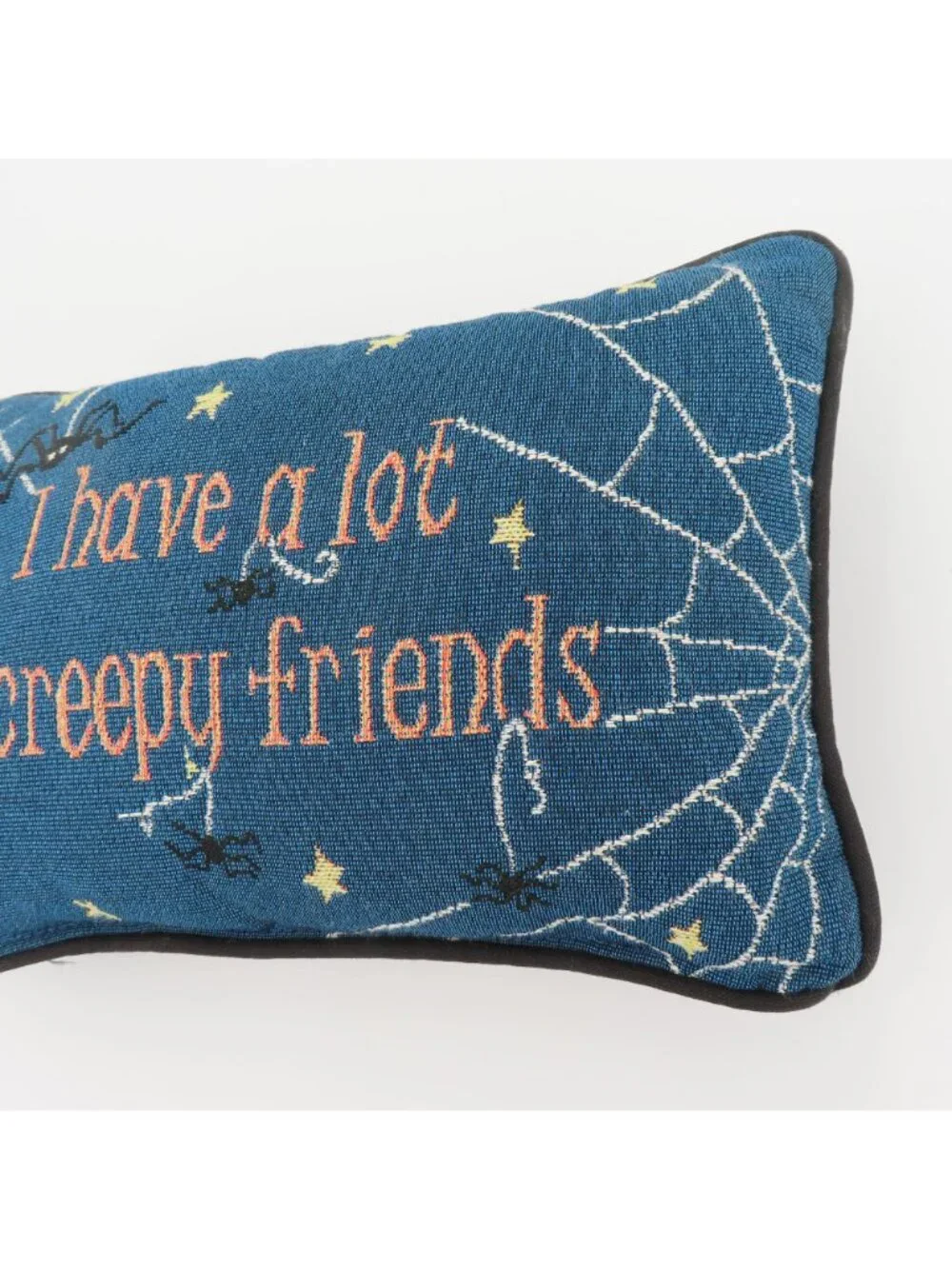 I Have A Lot Of Creepy Friends Cobweb Spider Halloween Spooky Accent Pillow